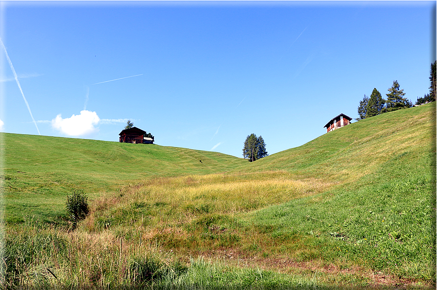 foto Alpe di Siusi